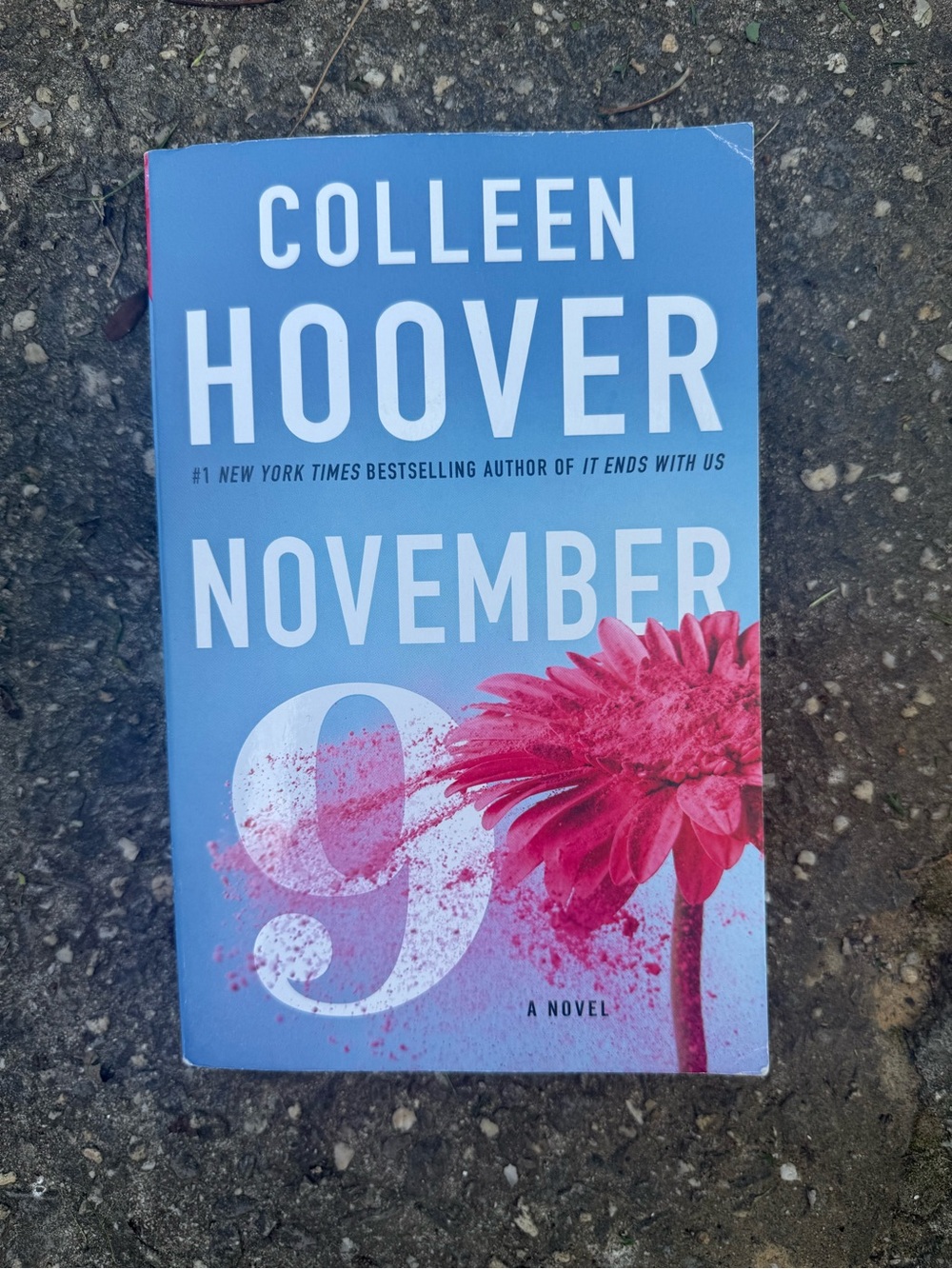 November 9 Paperback - Blue Cover with Pink Flower